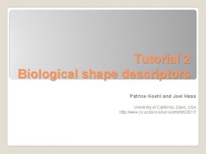 Tutorial 2 Biological shape descriptors Patrice Koehl and