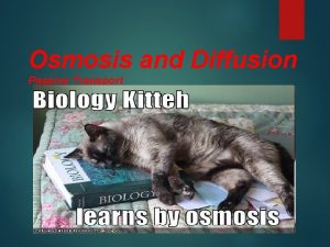Osmosis and Diffusion Passive Transport Osmosis and Diffusion