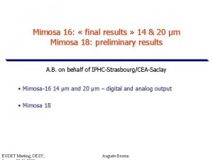 Mimosa 16 final results 14 20 m Mimosa