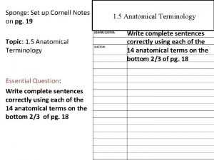 Sponge Set up Cornell Notes on pg 19