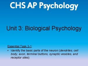 CHS AP Psychology Unit 3 Biological Psychology Essential