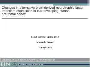 BDNF Seminar Spring 2010 Maneeshi Prasad Jan 29