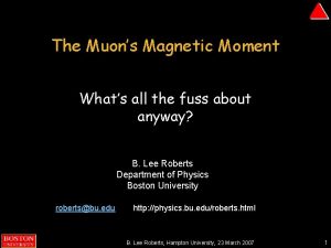 The Muons Magnetic Moment Whats all the fuss