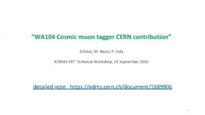 WA 104 Cosmic muon tagger CERN contribution U