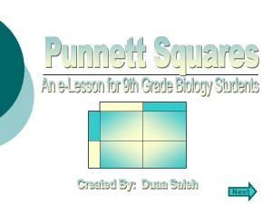 Next Punnett Squares Welcome Welcome to the wonderful