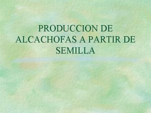 PRODUCCION DE ALCACHOFAS A PARTIR DE SEMILLA FORMAS