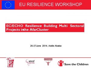 EU RESILIENCE WORKSHOP ECECHO Resilience Building Multi Sectoral