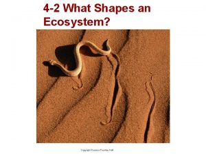 4-2 what shapes an ecosystem