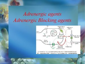 Adrenergic agents Adrenergic Blocking agents Autonomic Nervous System