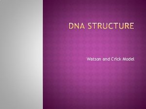 Watson and Crick Model Characteristic Forms of DNA