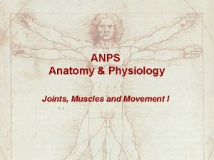 ANPS Anatomy Physiology Joints Muscles and Movement I