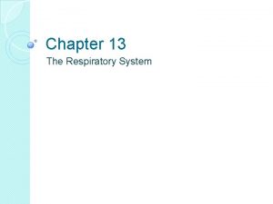 Chapter 13 the respiratory system