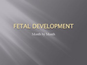 FETAL DEVELOPMENT Month by Month Stages z Germinal