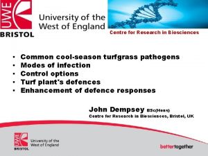 Centre for Research in Biosciences Common coolseason turfgrass