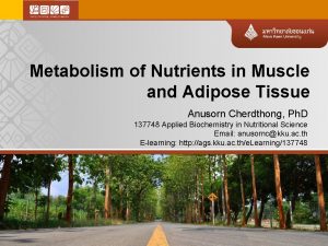 Metabolism of Nutrients in Muscle and Adipose Tissue