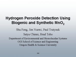 Hydrogen Peroxide Detection Using Biogenic and Synthetic Mn