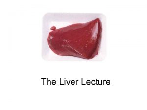 The Liver Lecture The Liver The largest single