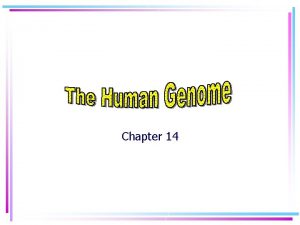 Hemophilia karyotype picture