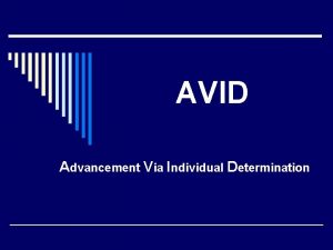 What does avid stand for
