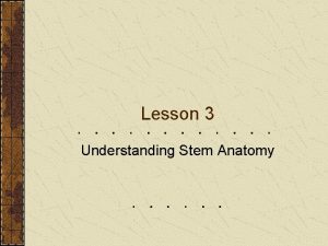 Lesson 3 Understanding Stem Anatomy Next Generation ScienceCommon
