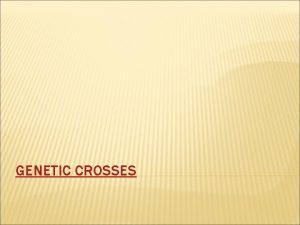 GENETIC CROSSES MONOHYBRID CROSSES In a monohybrid cross