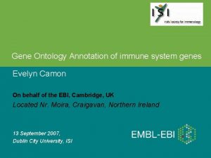 Gene Ontology Annotation of immune system genes Evelyn