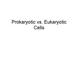 Prokaryotic vs Eukaryotic Cells Prokaryote Singlecelled organism that