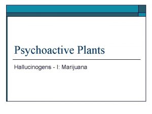 Psychoactive Plants Hallucinogens I Marijuana Marijuana o o