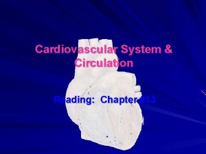 Cardiovascular System Circulation Reading Chapter 13 A Heart