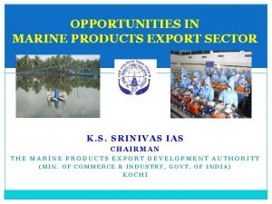 OPPORTUNITIES IN MARINE PRODUCTS EXPORT SECTOR K S