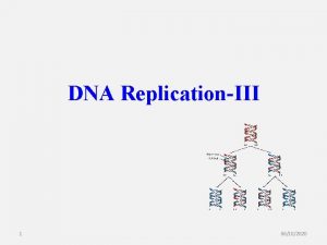 DNA ReplicationIII 1 06102020 Initiation of Replication The