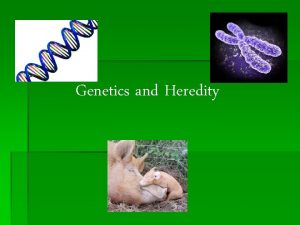 Genetics and Heredity GENETICS Study of the passing