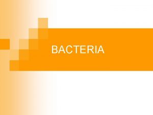 BACTERIA Structures in a Typical Bacteria n n