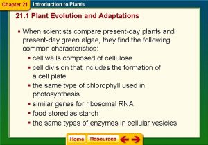 Chapter 21 section 1 plant evolution and adaptations
