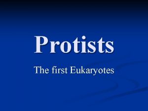 Protists The first Eukaryotes Protist Characteristics 1 Domain