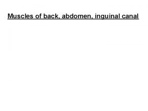 Muscles of back abdomen inguinal canal Muscles of