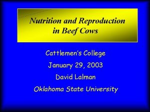 Nutrition and Reproduction in Beef Cows Cattlemens College