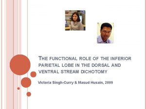 Posterior parietal cortex Posterior parietal cortex