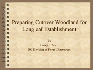 Preparing Cutover Woodland for Longleaf Establishment By Larry