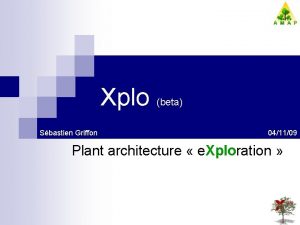 Xplo beta Sbastien Griffon 041109 Plant architecture e