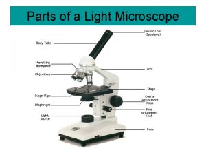 Light microscope diagram