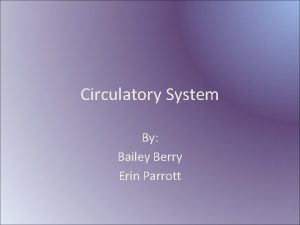 Circulatory System By Bailey Berry Erin Parrott Circulatory