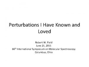 Perturbations I Have Known and Loved Robert W
