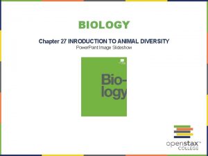 BIOLOGY Chapter 27 INRODUCTION TO ANIMAL DIVERSITY Power