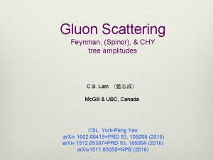 Gluon Scattering Feynman Spinor CHY tree amplitudes C