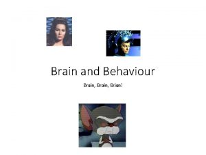 Brain and Behaviour Brain Brian Introduction Behaviour is