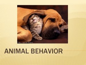 Innate behavior