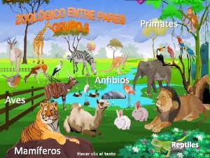 Primates Anfibios Aves Mamferos Reptiles Hacer clic al