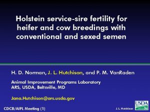 Holstein servicesire fertility for heifer and cow breedings