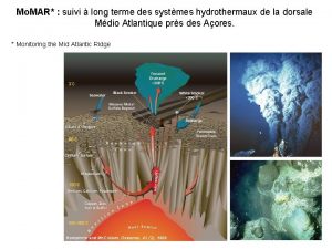 Mo MAR suivi long terme des systmes hydrothermaux